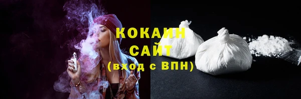 гидра Богданович