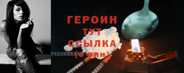 гидра Богданович