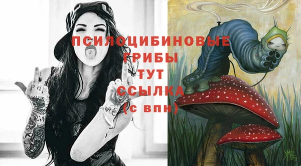 гидропоника Бородино
