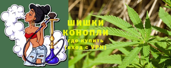 МДПВ Бронницы