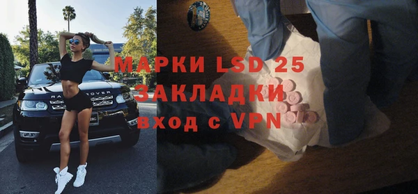 гидра Богданович
