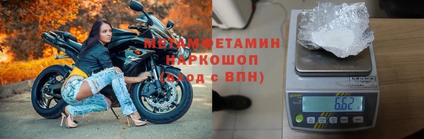 гидра Богданович